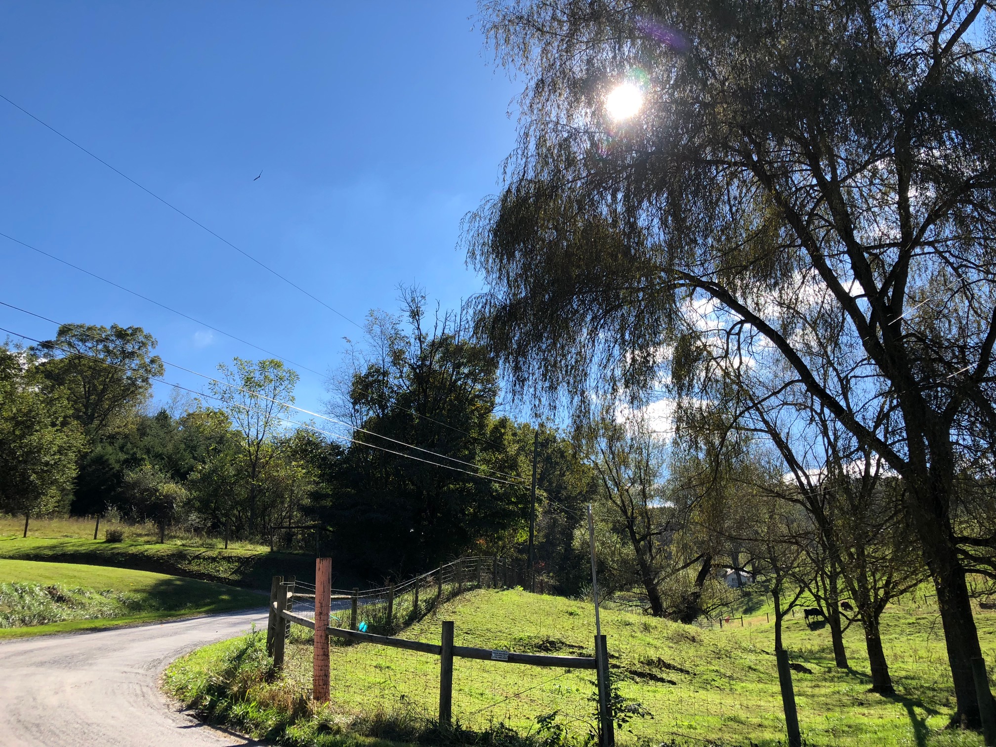 Rattle Creek Road Water Line Extension Project