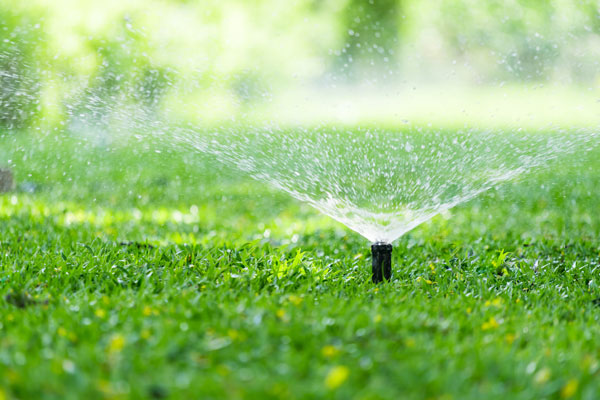 grandfather-with-waterhose-sprays-granddaughter-with-water